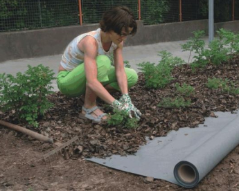 Ptáček - velkoobchod: netkaná geotextilie JUTA NETEX HOME